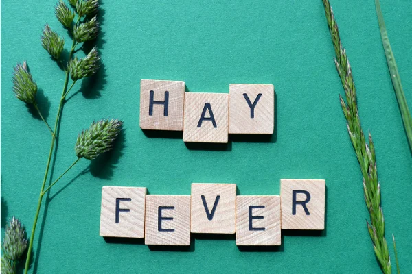 Wooden tiles spelling "HAY FEVER" on a teal background, accompanied by green grass and plant sprigs on both sides.